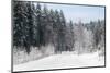 Winter Forest and A Snow Road-nblx-Mounted Photographic Print