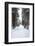 Winter Forest and A Snow Road-nblx-Framed Photographic Print