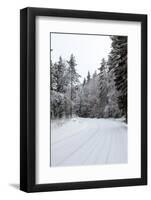 Winter Forest and A Snow Road-nblx-Framed Photographic Print