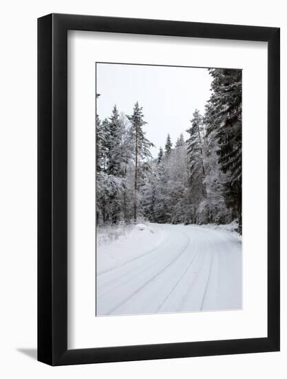 Winter Forest and A Snow Road-nblx-Framed Photographic Print