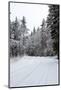 Winter Forest and A Snow Road-nblx-Mounted Photographic Print