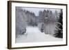 Winter Forest and A Snow Road-nblx-Framed Photographic Print