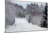 Winter Forest and A Snow Road-nblx-Mounted Photographic Print