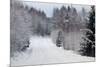 Winter Forest and A Snow Road-nblx-Mounted Photographic Print