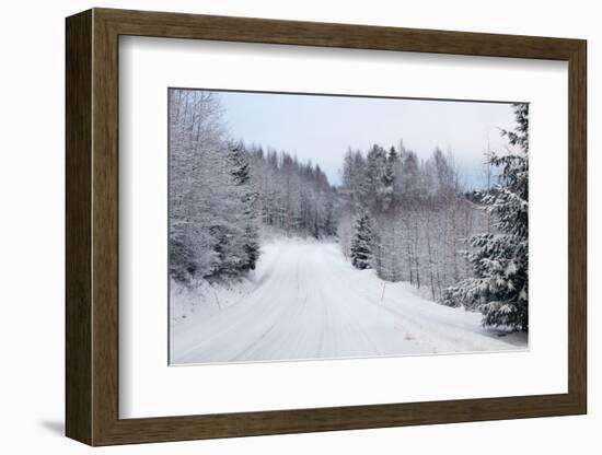 Winter Forest and A Snow Road-nblx-Framed Photographic Print