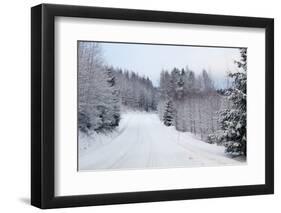 Winter Forest and A Snow Road-nblx-Framed Photographic Print