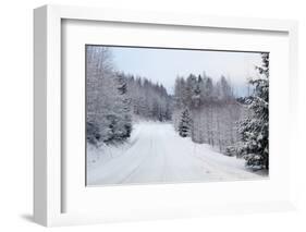 Winter Forest and A Snow Road-nblx-Framed Photographic Print