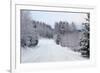 Winter Forest and A Snow Road-nblx-Framed Photographic Print