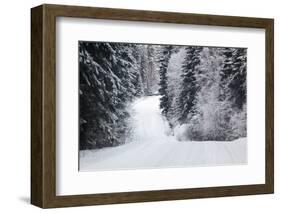 Winter Forest and A Snow Road-nblx-Framed Photographic Print