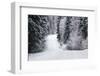 Winter Forest and A Snow Road-nblx-Framed Photographic Print