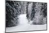 Winter Forest and A Snow Road-nblx-Mounted Photographic Print