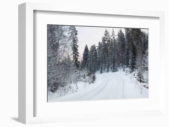 Winter Forest and A Snow Road-nblx-Framed Photographic Print