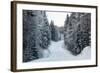 Winter Forest and A Snow Road-nblx-Framed Photographic Print