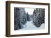 Winter Forest and A Snow Road-nblx-Framed Photographic Print