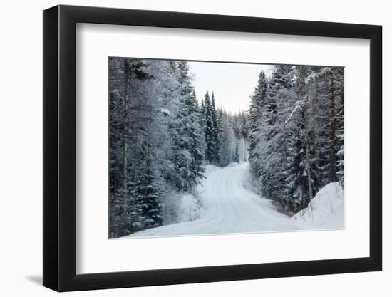 Winter Forest and A Snow Road-nblx-Framed Photographic Print