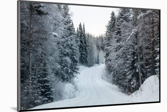 Winter Forest and A Snow Road-nblx-Mounted Photographic Print