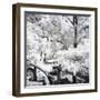 Winter Forest - In the Style of Oil Painting-Philippe Hugonnard-Framed Giclee Print