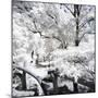 Winter Forest - In the Style of Oil Painting-Philippe Hugonnard-Mounted Giclee Print
