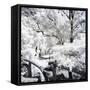 Winter Forest - In the Style of Oil Painting-Philippe Hugonnard-Framed Stretched Canvas