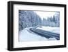 Winter Forest Road-duallogic-Framed Photographic Print