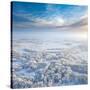 Stretched Canvas