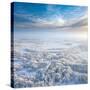 Stretched Canvas