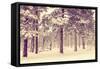 Winter Forest Vista-duallogic-Framed Stretched Canvas
