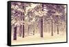 Winter Forest Vista-duallogic-Framed Stretched Canvas