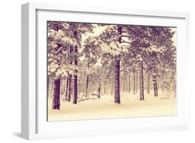 Winter Forest Vista-duallogic-Framed Photographic Print