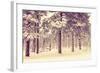 Winter Forest Vista-duallogic-Framed Photographic Print