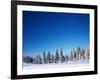 Winter Forest with Pine Trees and Snowy Field and Clear Blue Sky-Dudarev Mikhail-Framed Photographic Print