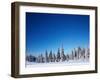 Winter Forest with Pine Trees and Snowy Field and Clear Blue Sky-Dudarev Mikhail-Framed Photographic Print