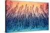 Winter Forest with With Gradient Color-vvvita-Stretched Canvas