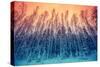 Winter Forest with With Gradient Color-vvvita-Stretched Canvas