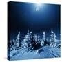 Winter Forest-Andrushko Galyna-Stretched Canvas