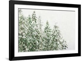 Winter Forest-null-Framed Photographic Print