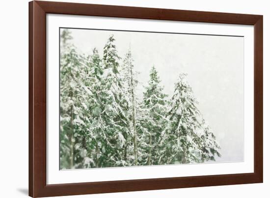 Winter Forest-null-Framed Photographic Print