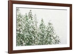 Winter Forest-null-Framed Photographic Print