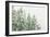 Winter Forest-null-Framed Photographic Print