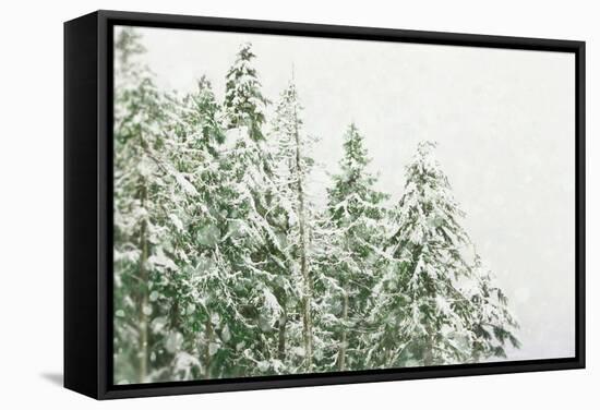 Winter Forest-null-Framed Stretched Canvas