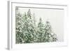 Winter Forest-null-Framed Photographic Print