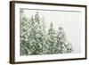 Winter Forest-null-Framed Photographic Print