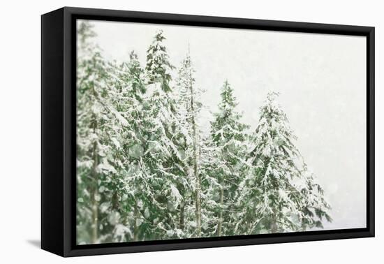 Winter Forest-null-Framed Stretched Canvas