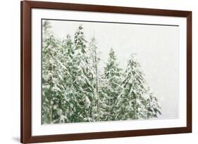 Winter Forest-null-Framed Photographic Print