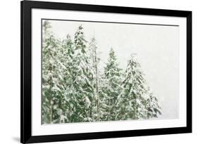 Winter Forest-null-Framed Photographic Print