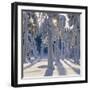 Winter Forest-Hans Strand-Framed Photographic Print