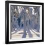 Winter Forest-Hans Strand-Framed Photographic Print