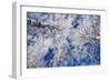 Winter Forest-Yanika-Framed Photographic Print