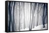 Winter Forest-Alexey Rumyantsev-Framed Stretched Canvas