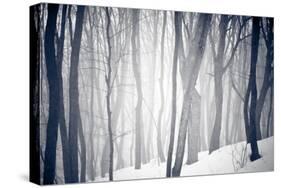 Winter Forest-Alexey Rumyantsev-Stretched Canvas